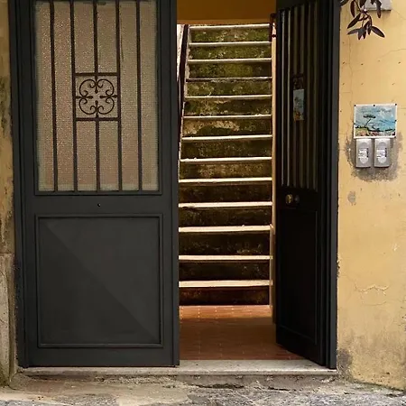 Figurari Napoli-2 *